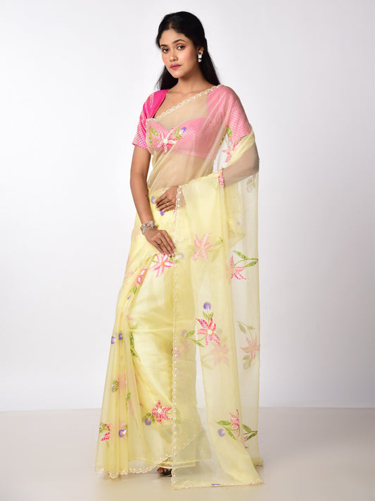 HAND PAINTED ORGANZA WITH KATDANA WORK