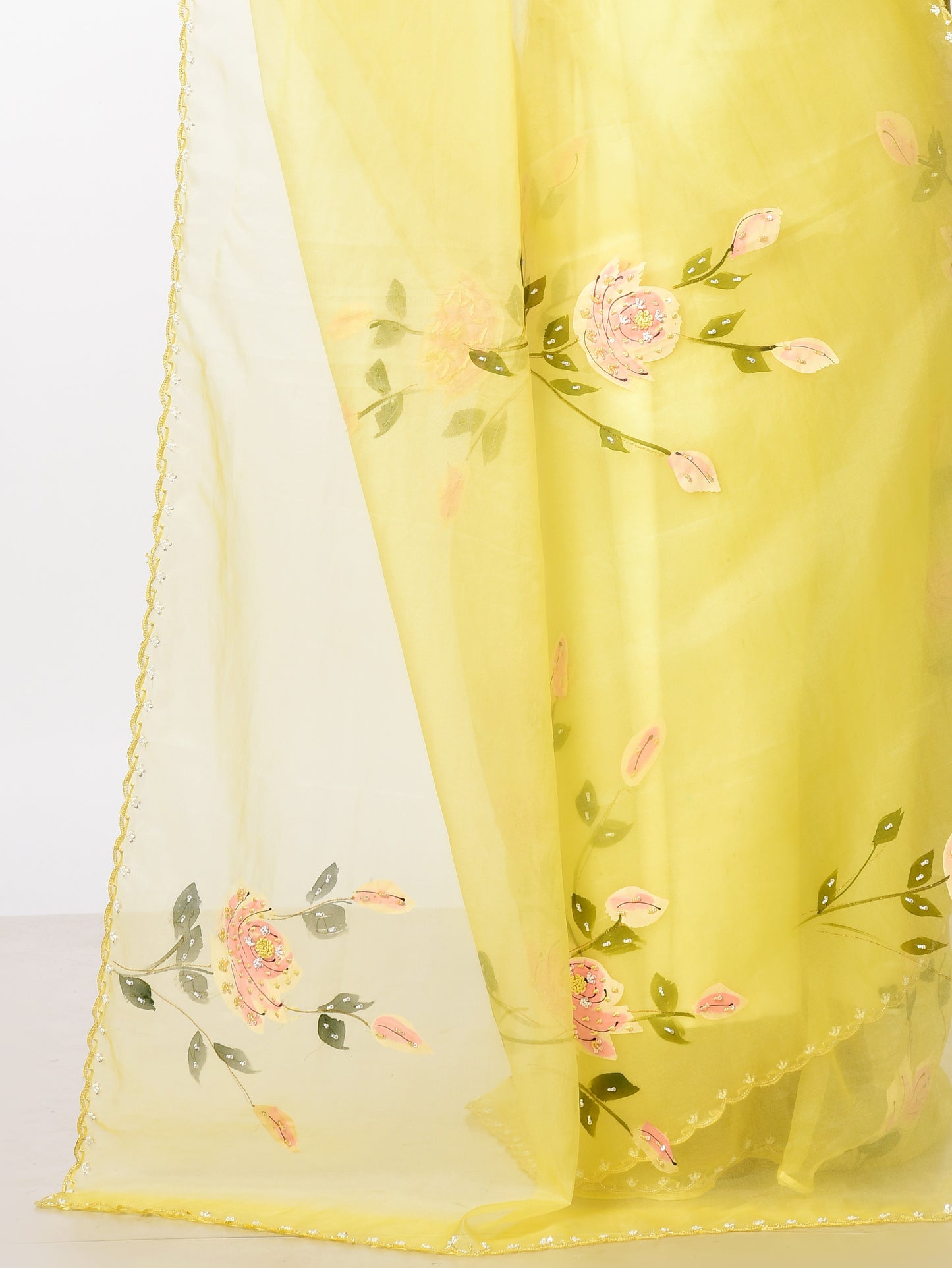 SUNDARI Hand painted Organza with Katdana work