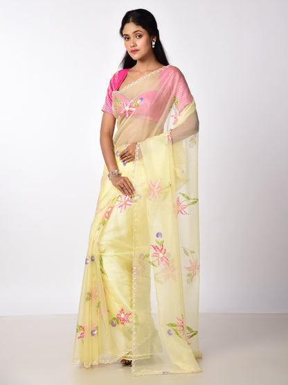 HAND PAINTED ORGANZA WITH KATDANA WORK