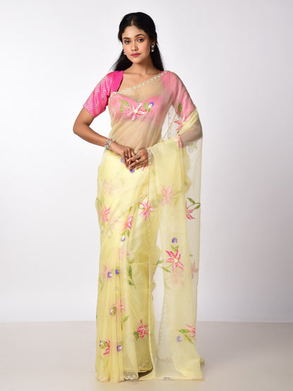 HAND PAINTED ORGANZA WITH KATDANA WORK