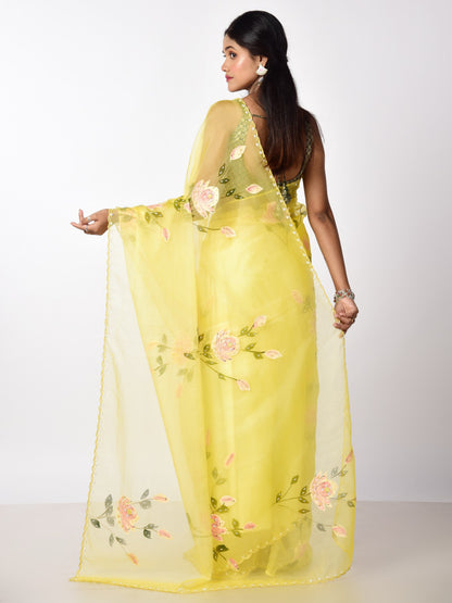 HAND PAINTED ORGANZA WITH KATDANA WORK