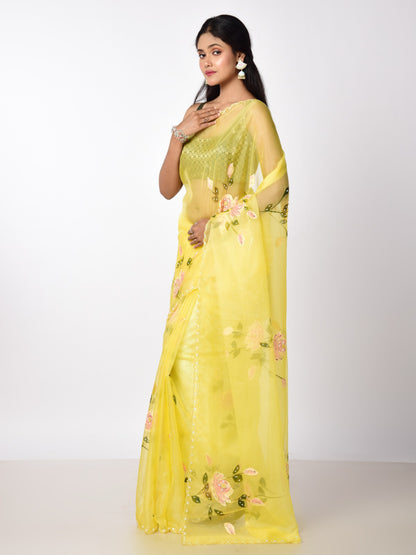 HAND PAINTED ORGANZA WITH KATDANA WORK