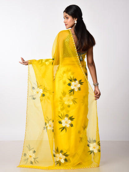 HAND PAINTED ORGANZA WITH KATDANA WORK