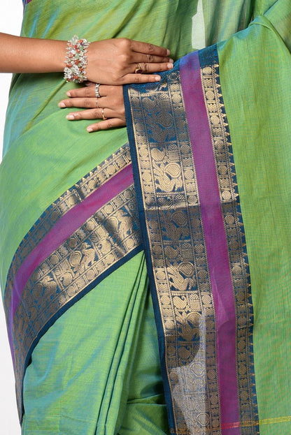 SAANVI - GREEN & PURPLE