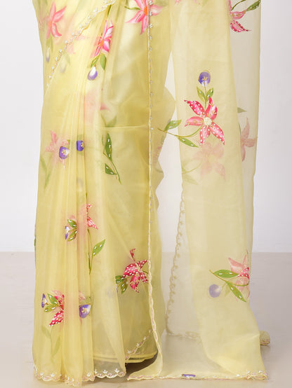 HAND PAINTED ORGANZA WITH KATDANA WORK