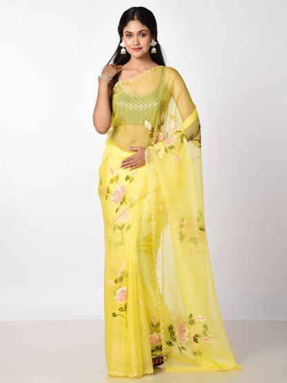 HAND PAINTED ORGANZA WITH KATDANA WORK