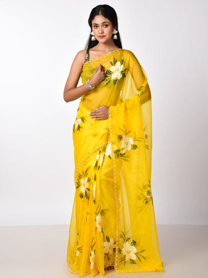 HAND PAINTED ORGANZA WITH KATDANA WORK