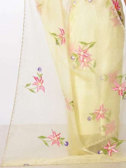 PHOOL Hand painted Organza saree with katdana work