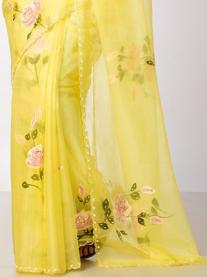 SUNDARI Hand painted Organza with Katdana work
