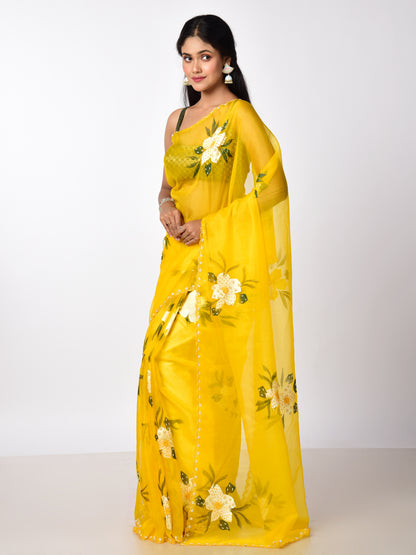 PILI PHOOL hand painted Organza with katdana work