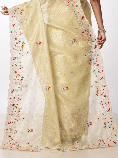 Crushed tissue multicolour zardosi