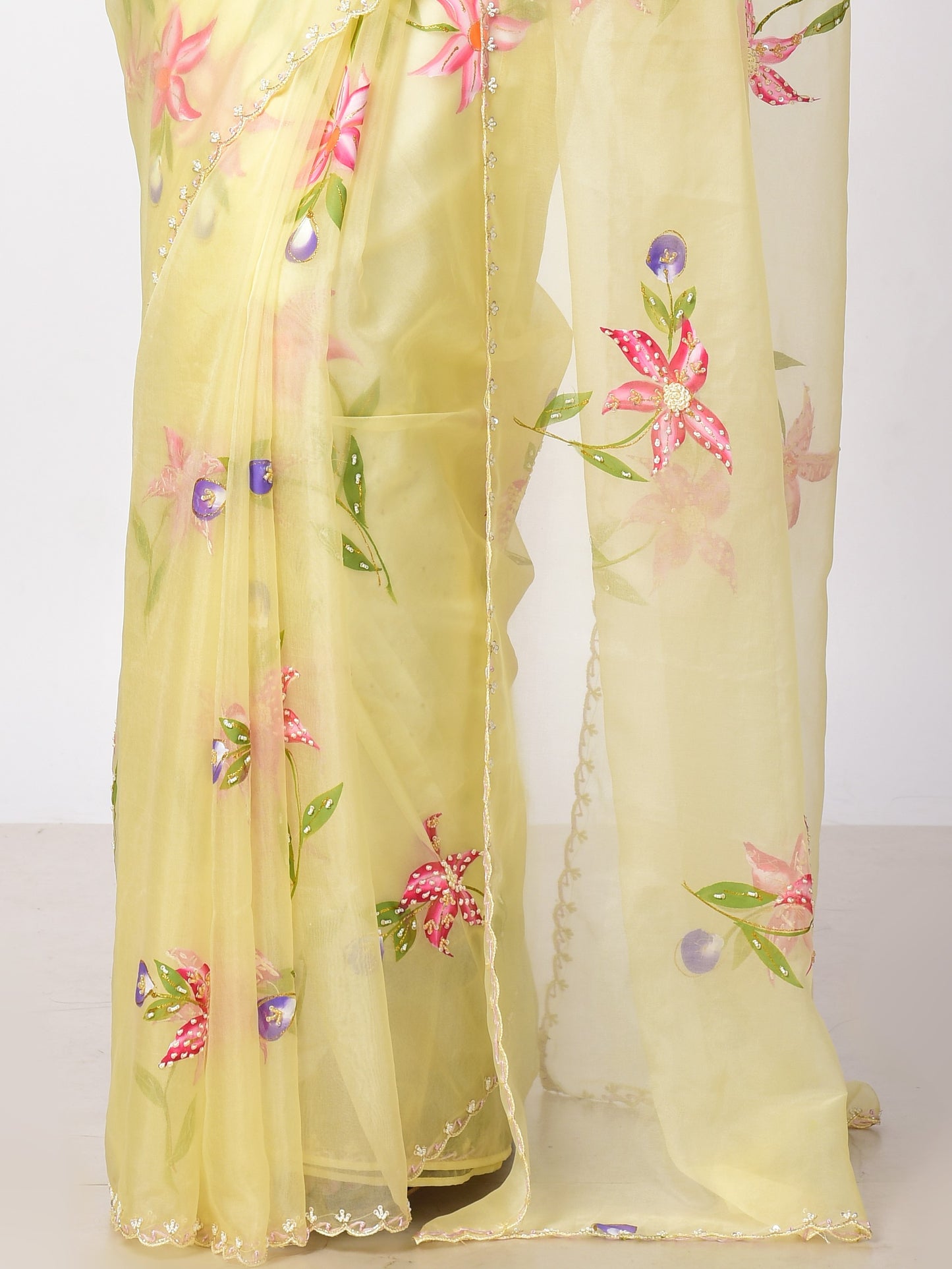 PHOOL Hand painted Organza saree with katdana work