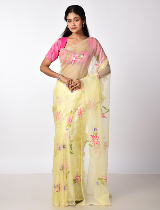 PHOOL Hand painted Organza saree with katdana work