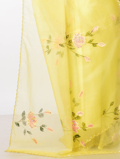SUNDARI Hand painted Organza with Katdana work